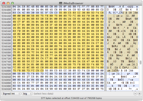 Hex Fiend window with selection